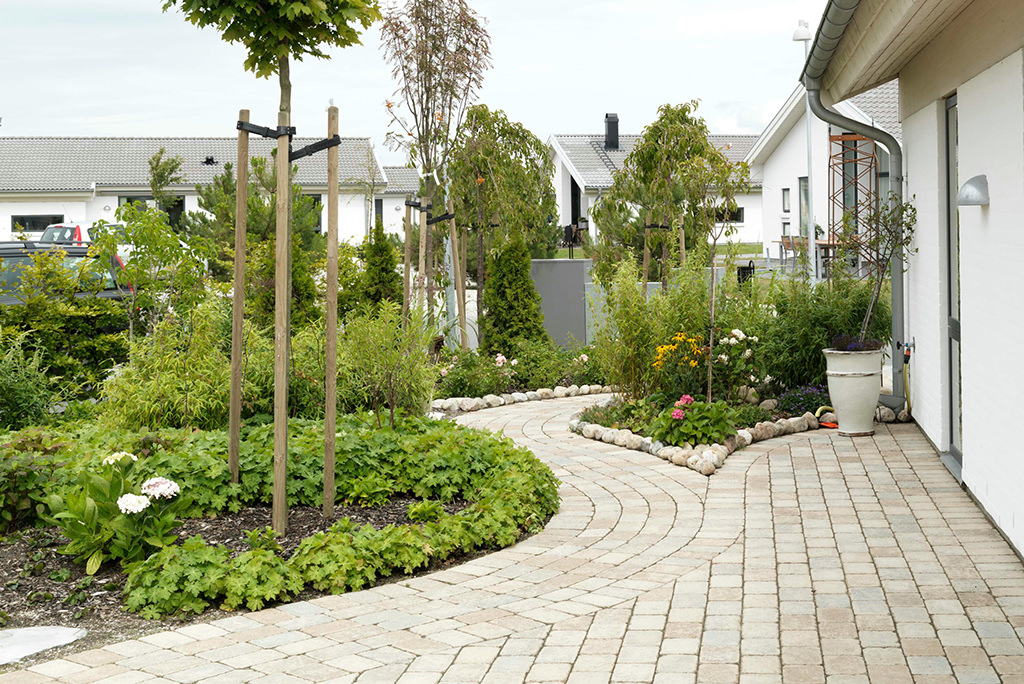 15.Renovera trädgården